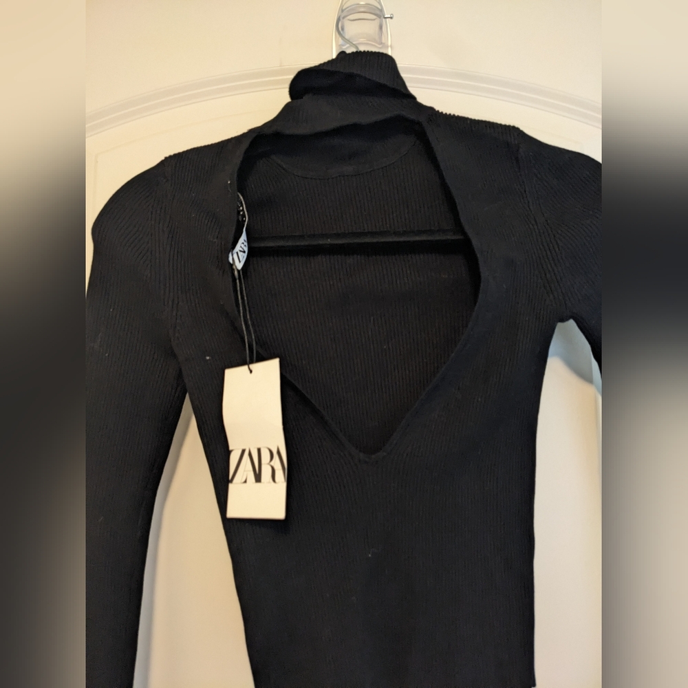 Zara long sleeve backless turtleneck